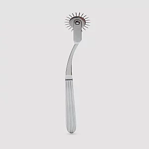 Bondage Boutique Tease Me Silly Wartenberg Pinwheel Silver